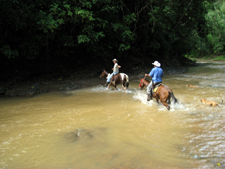 Costa Rica-Pacific Coast-Costa Rica Escape
